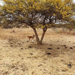 Meet your Posher, Rina